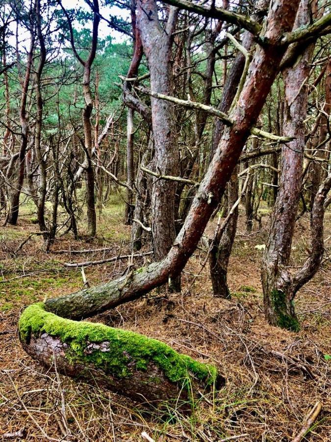 Ziemupes Muiza & Spa Eksteriør bilde